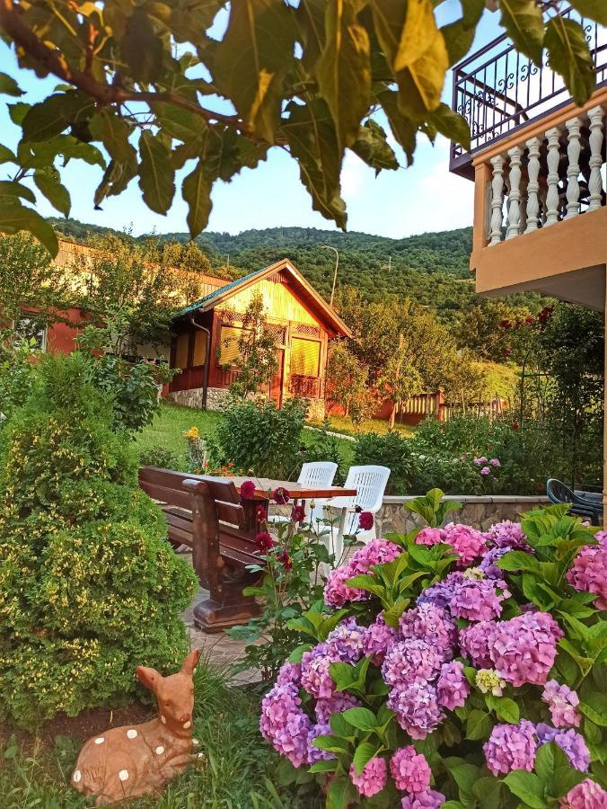 Apartment Lakeview Plužine Exterior foto