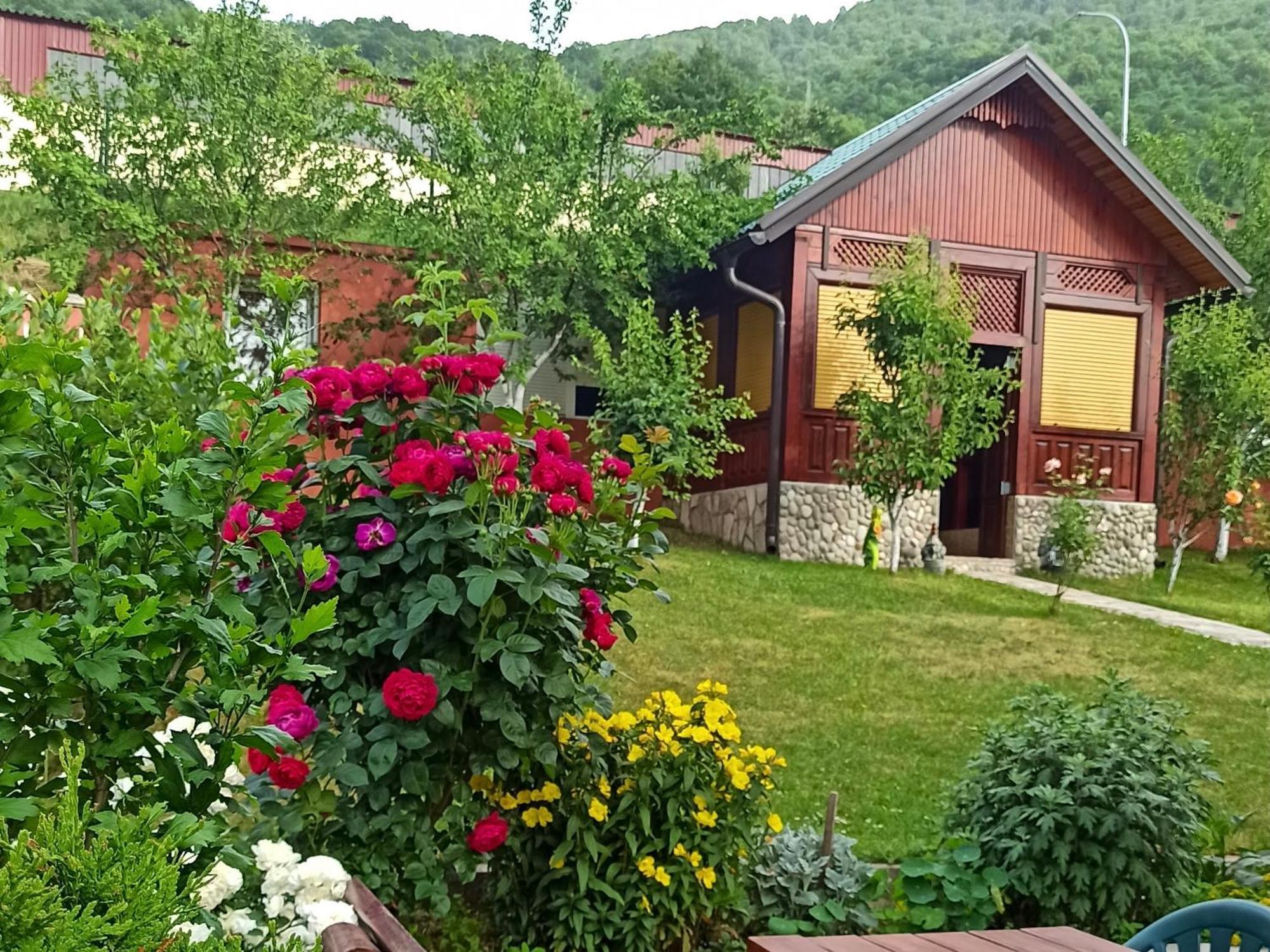 Apartment Lakeview Plužine Exterior foto